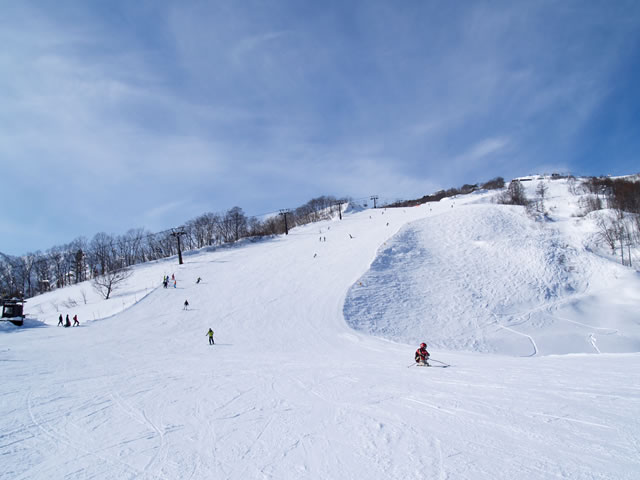 白馬八方尾根スキー場のゲレンデ
