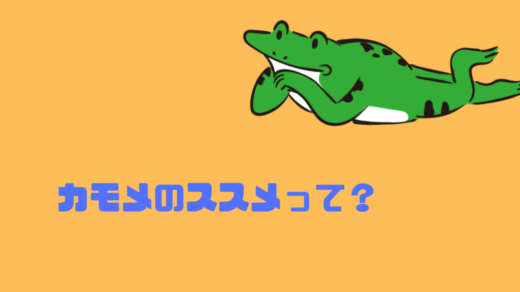 そもそもカモメのススメのブログってどんなことを発信しているの?
