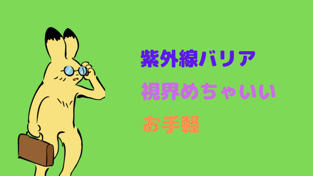 【メリット】スノーボードのサングラス