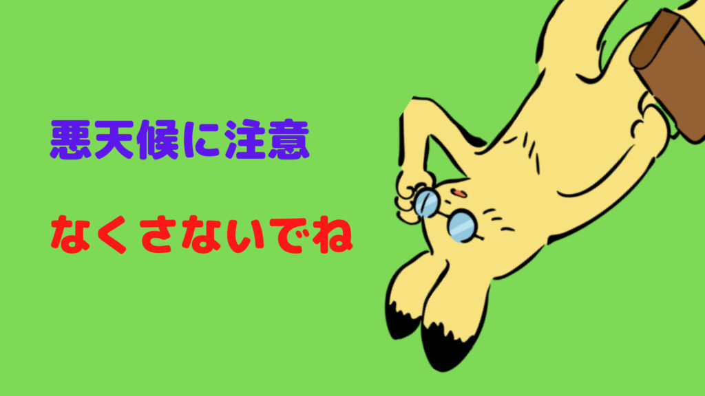 【デメリット】スノーボードのサングラス